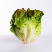 Home 9 Lattuga Canasta (KG)